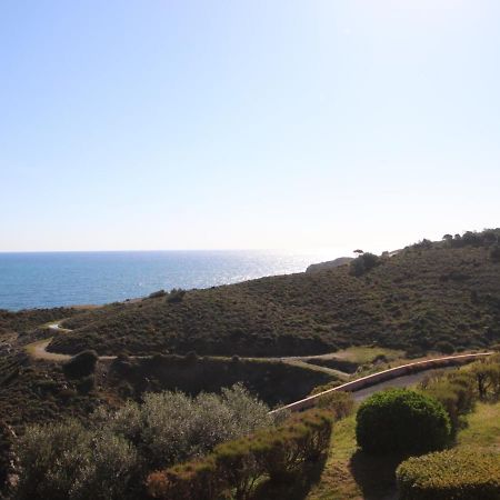 Banyuls-Sur-Mer, T2 Avec Wifi, Terrasse Et Parking - Fr-1-309-259 Экстерьер фото