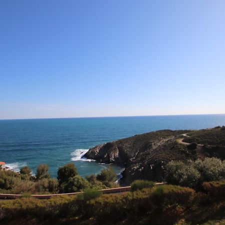 Banyuls-Sur-Mer, T2 Avec Wifi, Terrasse Et Parking - Fr-1-309-259 Экстерьер фото