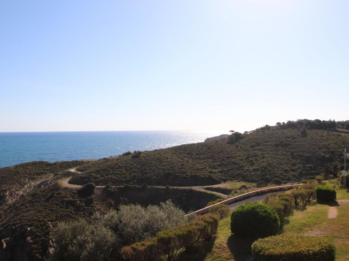 Banyuls-Sur-Mer, T2 Avec Wifi, Terrasse Et Parking - Fr-1-309-259 Экстерьер фото