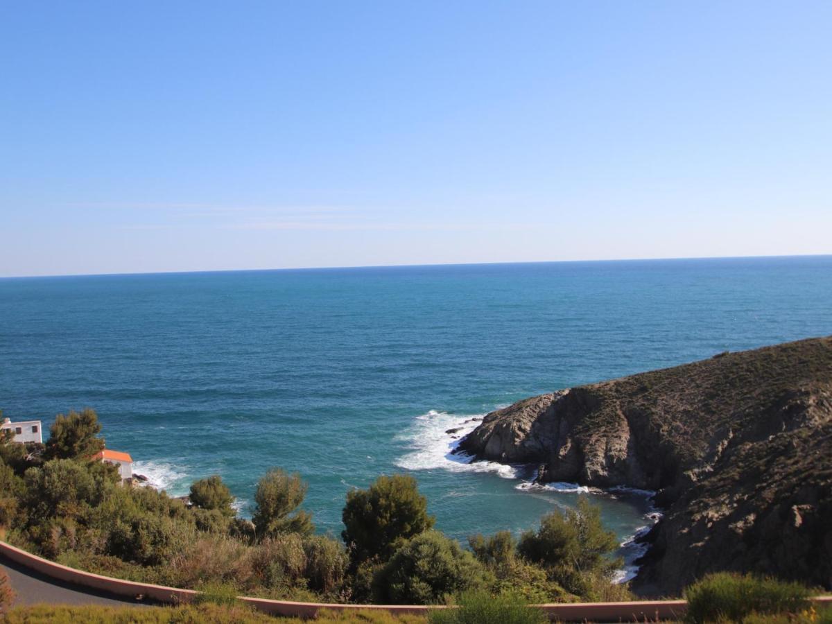 Banyuls-Sur-Mer, T2 Avec Wifi, Terrasse Et Parking - Fr-1-309-259 Экстерьер фото
